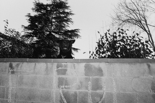 John Divola, from the 'San Fernando Valley' series, 1971–73