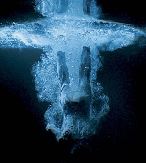 bill viola