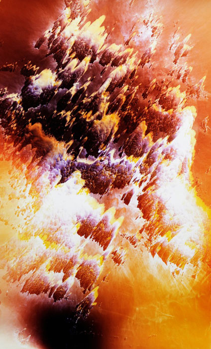 Raphael-Hefti-framed-Lycopodium-ii-UK_salts_12