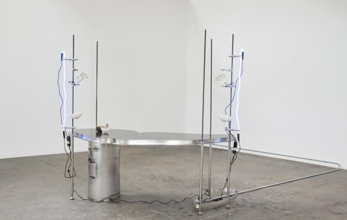 12-snakewithsexualinterestinowntail_ECWE015_install_hr